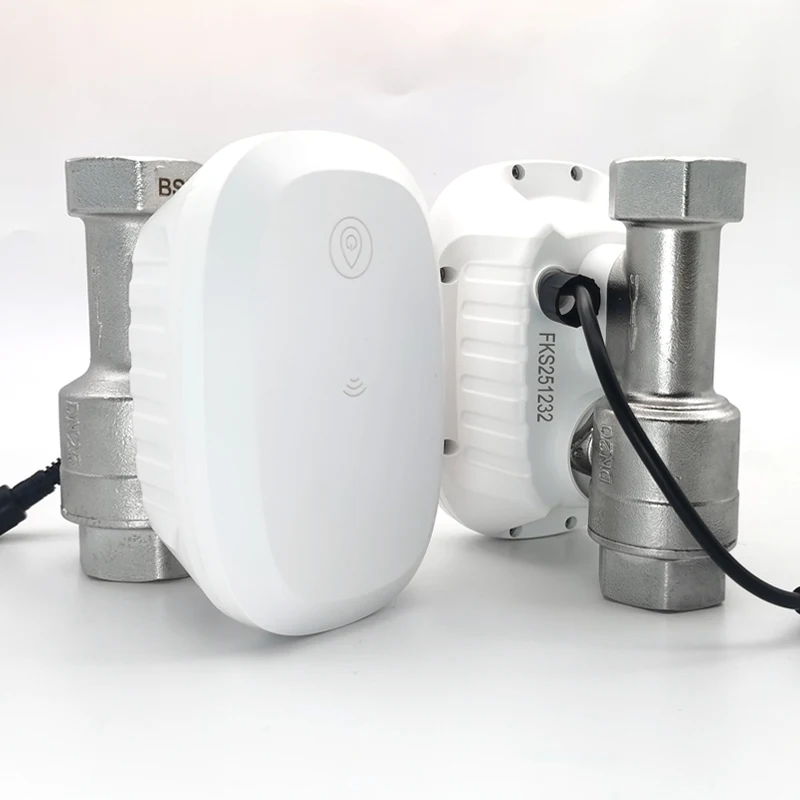 Katup Air WiFi Kontrol Cerdas  - Home Assistant Tuya ulasan dan harga